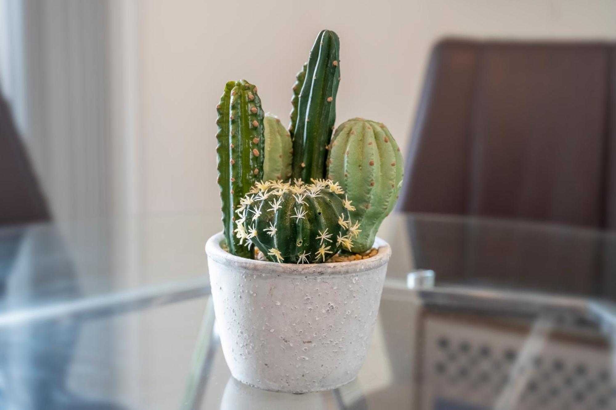 Cozy Home Management In Mdr Los Angeles Zewnętrze zdjęcie